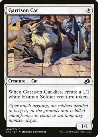 Garrison Cat · 14