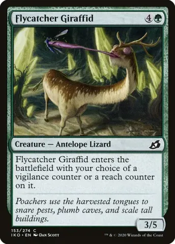 Flycatcher Giraffid · 153