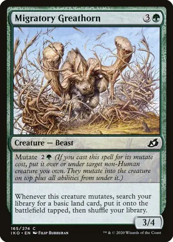 Migratory Greathorn · 165