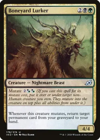 Boneyard Lurker · 178