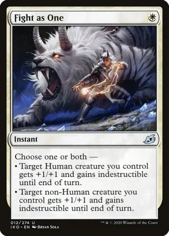 Fight as One · 12