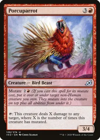Porcuparrot · 128