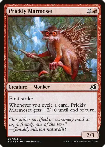 Prickly Marmoset · 129