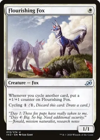 Flourishing Fox · 13