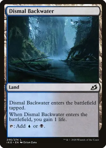 Dismal Backwater · 246