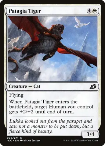 Patagia Tiger · 26