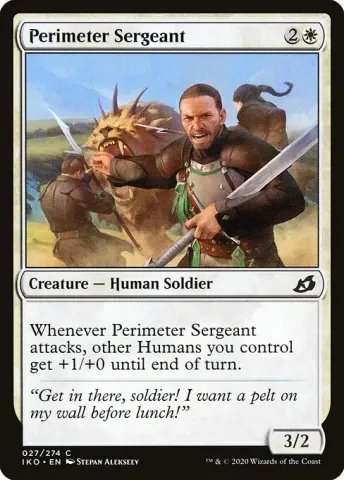 Perimeter Sergeant · 27