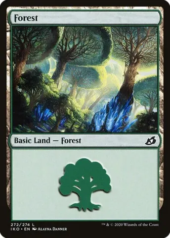 Forest · 272