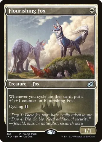 Flourishing Fox · 365