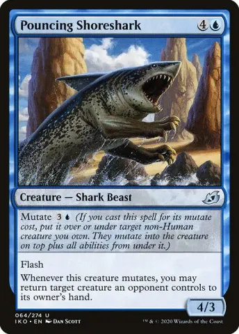 Pouncing Shoreshark · 64