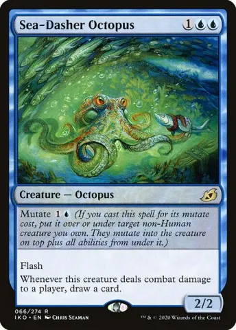 Sea-Dasher Octopus · 66