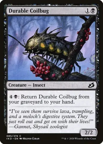 Durable Coilbug · 85