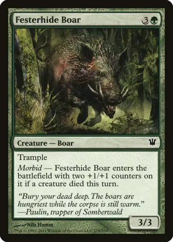 Festerhide Boar · 179