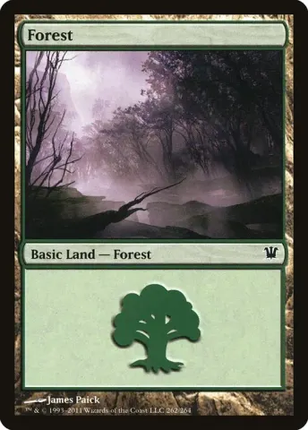 Forest · 262