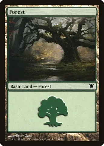 Forest · 264