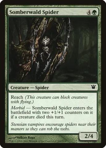 Somberwald Spider · 202