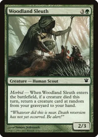 Woodland Sleuth · 210