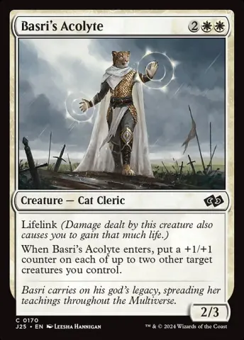 Basri's Acolyte · 170