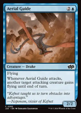 Aerial Guide · 282