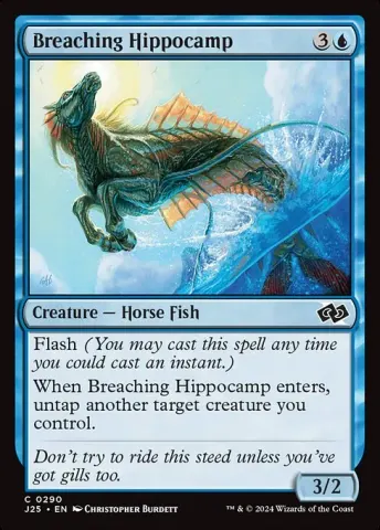Breaching Hippocamp · 290