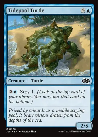 Tidepool Turtle · 376
