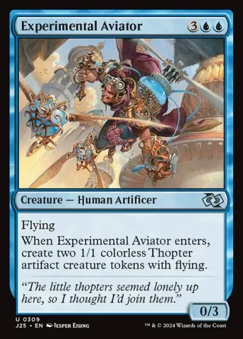 Experimental Aviator · 309