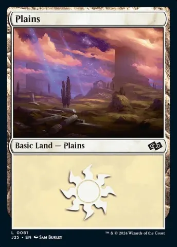 Plains · 81