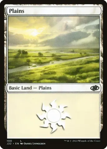Plains · 100