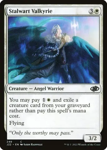 Stalwart Valkyrie · 249