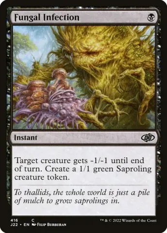 Fungal Infection · 416