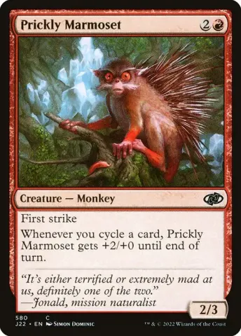 Prickly Marmoset · 580