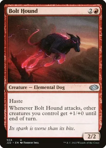 Bolt Hound · 504