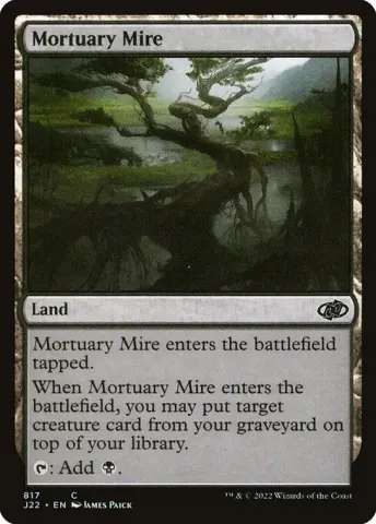 Mortuary Mire · 817