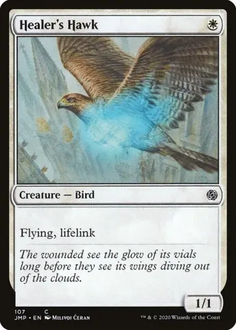 Healer's Hawk · 107