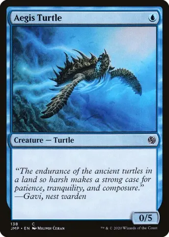 Aegis Turtle · 138