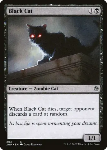 Black Cat · 203