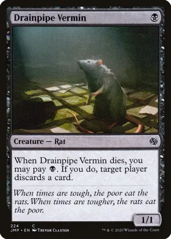 Drainpipe Vermin · 224