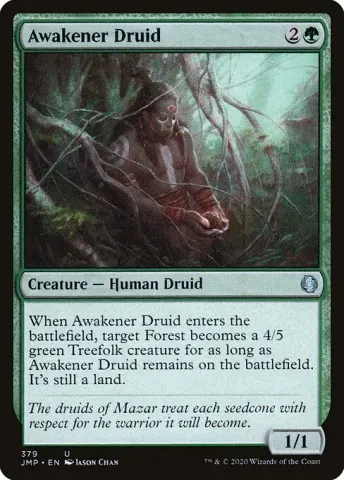 Awakener Druid · 379