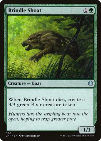 Brindle Shoat · 380