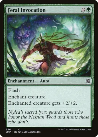 Feral Invocation · 396
