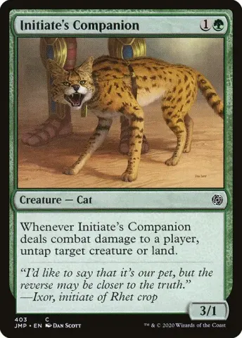 Initiate's Companion · 403