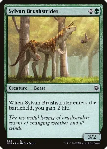 Sylvan Brushstrider · 434