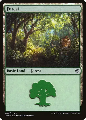 Forest · 74
