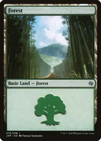 Forest · 75