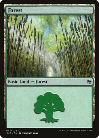 Forest · 77