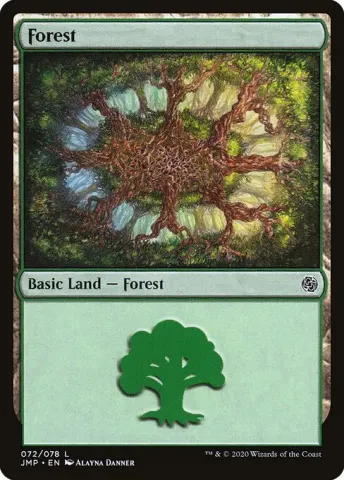 Forest · 72