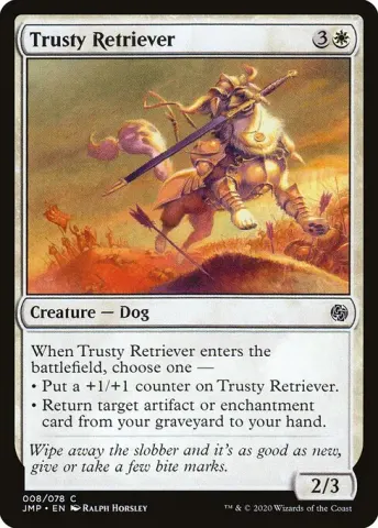 Trusty Retriever · 8