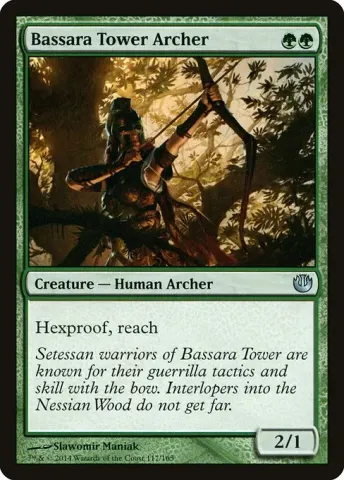 Bassara Tower Archer · 117