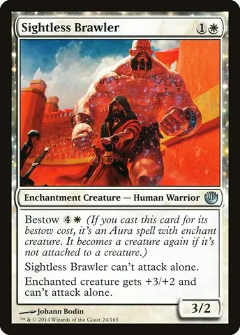 Sightless Brawler · 24