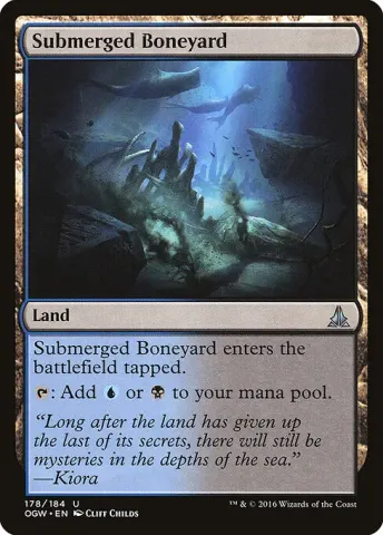 Submerged Boneyard · 178
